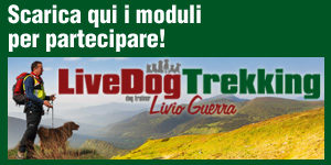 LiveDog Trekking LiveDog Trekking