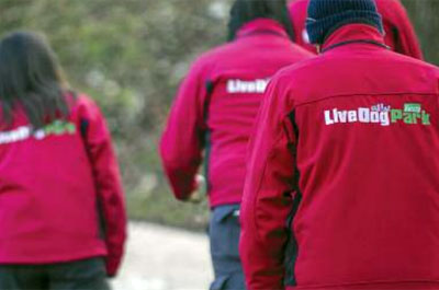 LiveDog Staff LiveDog Staff