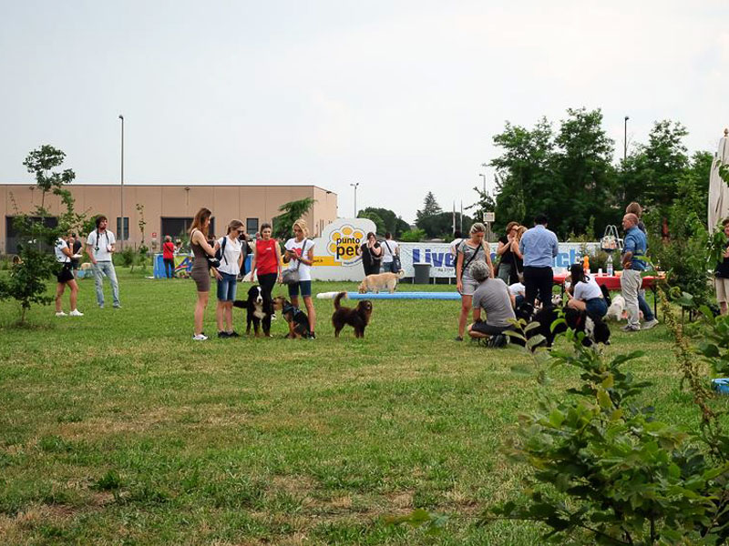 Le attività LiveDog Park Le attività LiveDog Park