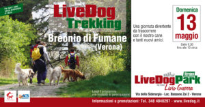 Breonio29maggio2016.qxd