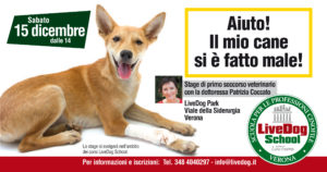 Layout 1