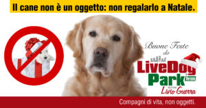 PostNatalizio2018-01