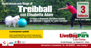 Layout 1