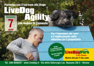 Layout 1
