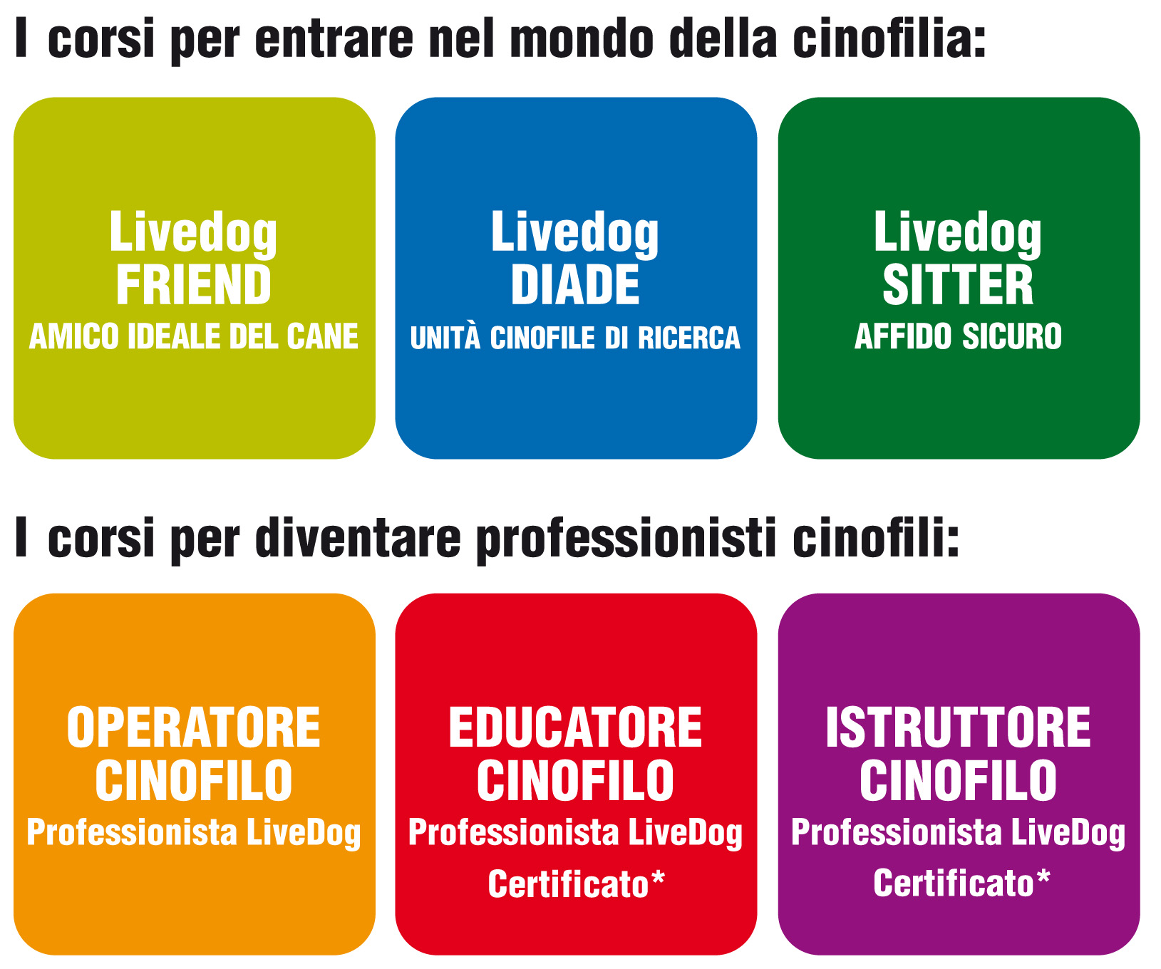 Corsi cinofili LiveDog Corsi cinofili LiveDog