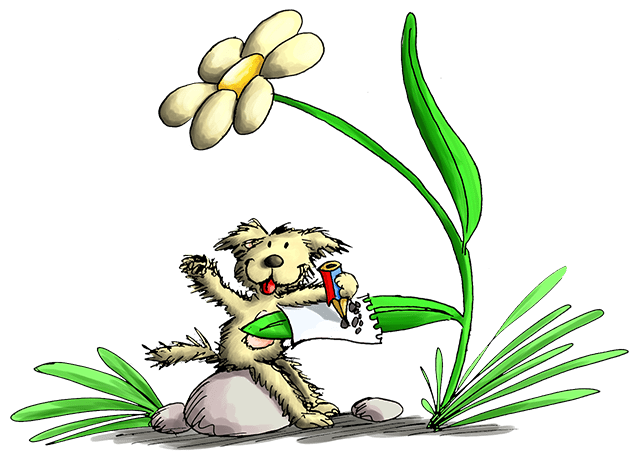 Un cane è seduto su una roccia con un fiore davanti a sé.