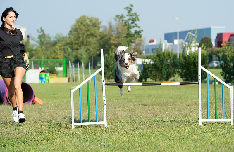 Agility-1