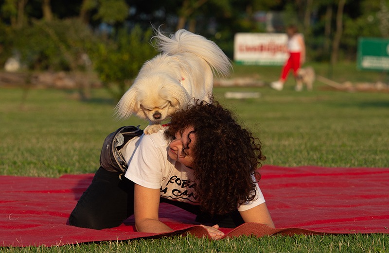 Scopri di più sull'articolo LiveDog Dance: lo stage per ballare con il tuo cane!