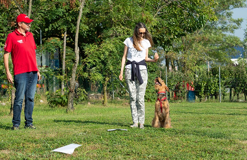 Rally obedience-1