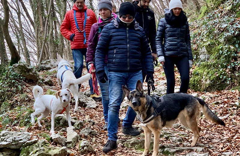 Scopri di più sull'articolo LiveDog Trekking il 6 gennaio: la passeggiata cinofila della Befana