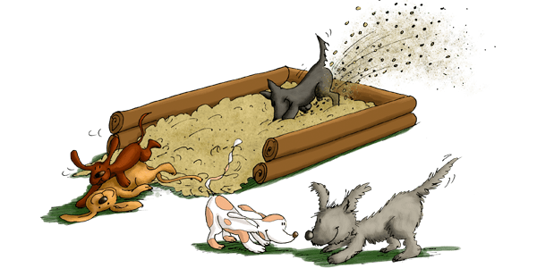 Un gruppo di cani che giocano in una sabbiera.