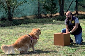 Un uomo inginocchiato accanto a un cane che gioca con una scatola.