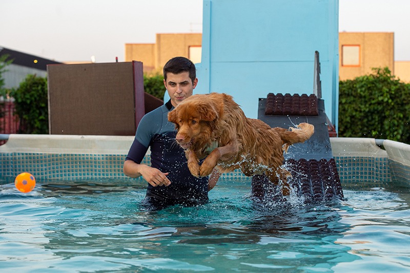 Un uomo che gioca con un golden retriever in una piscina.