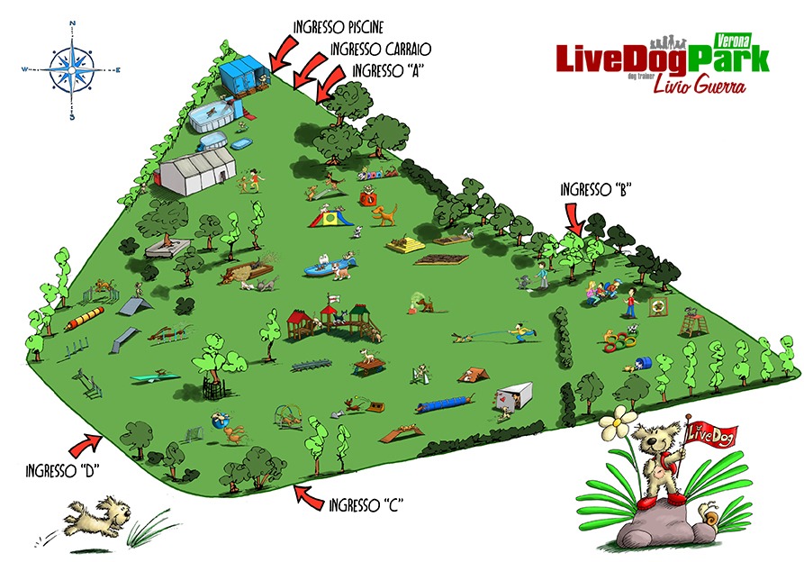 Mappa Campo