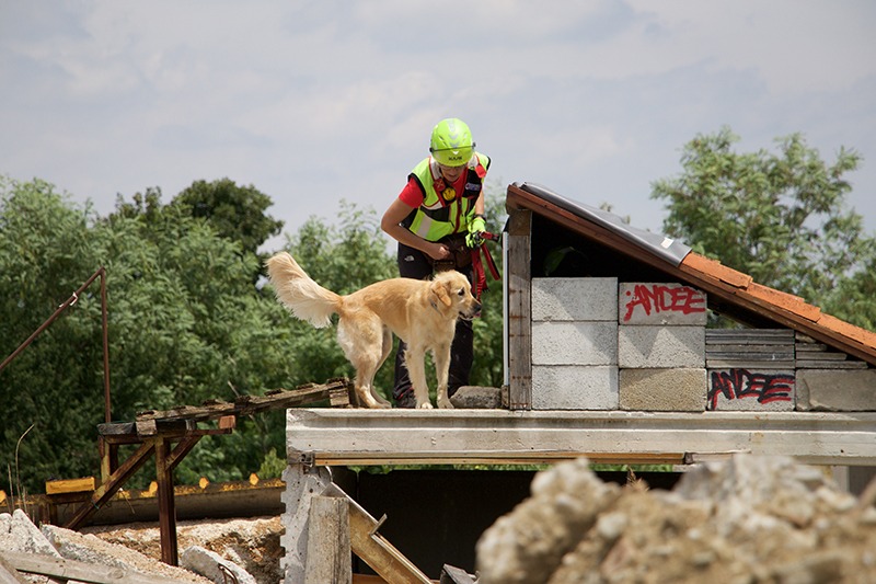 Un uomo con un cane in piedi sulla cima di un edificio.