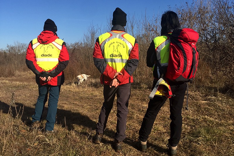 Tre persone in gilet giallo in piedi in un campo con un cane.