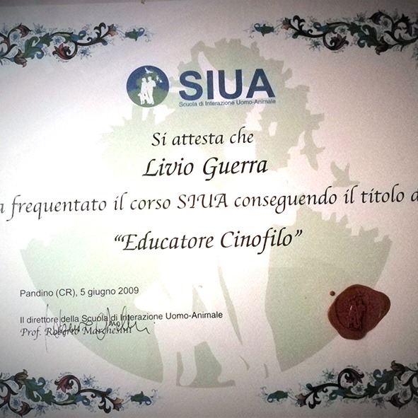 Un certificato con sopra la parola siua.