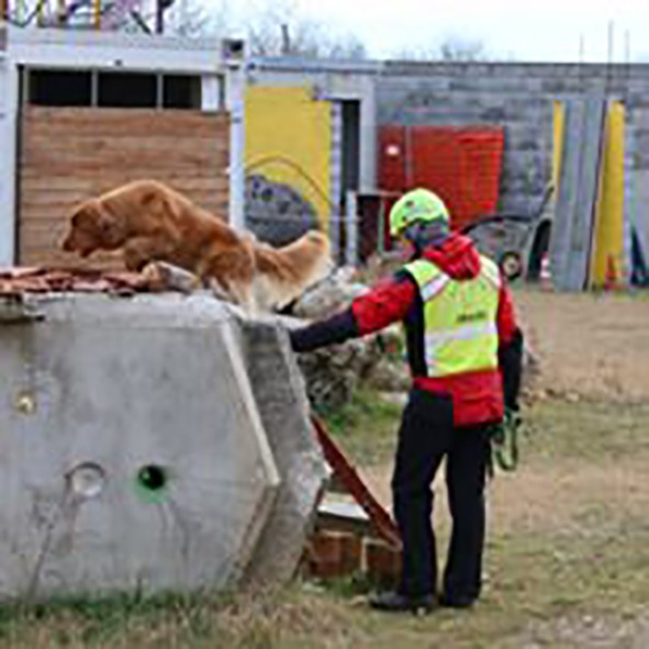 Un uomo con un gilet giallo e un cane in cima a un blocco di cemento.