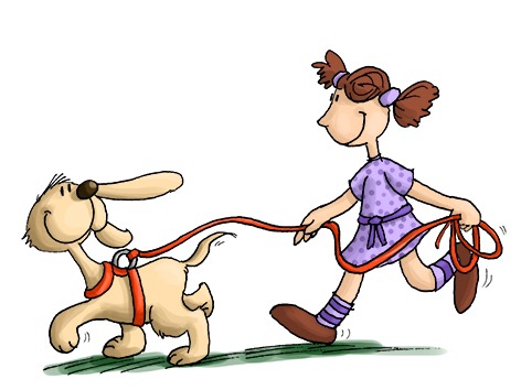Al momento stai visualizzando Pettorina o Collare? Consigli Utili da LiveDog Verona
