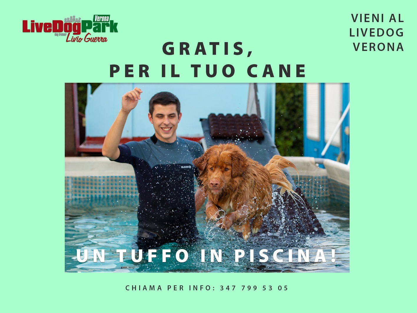 Read more about the article Piscine per Cani, un Primo Incontro Gratis!
