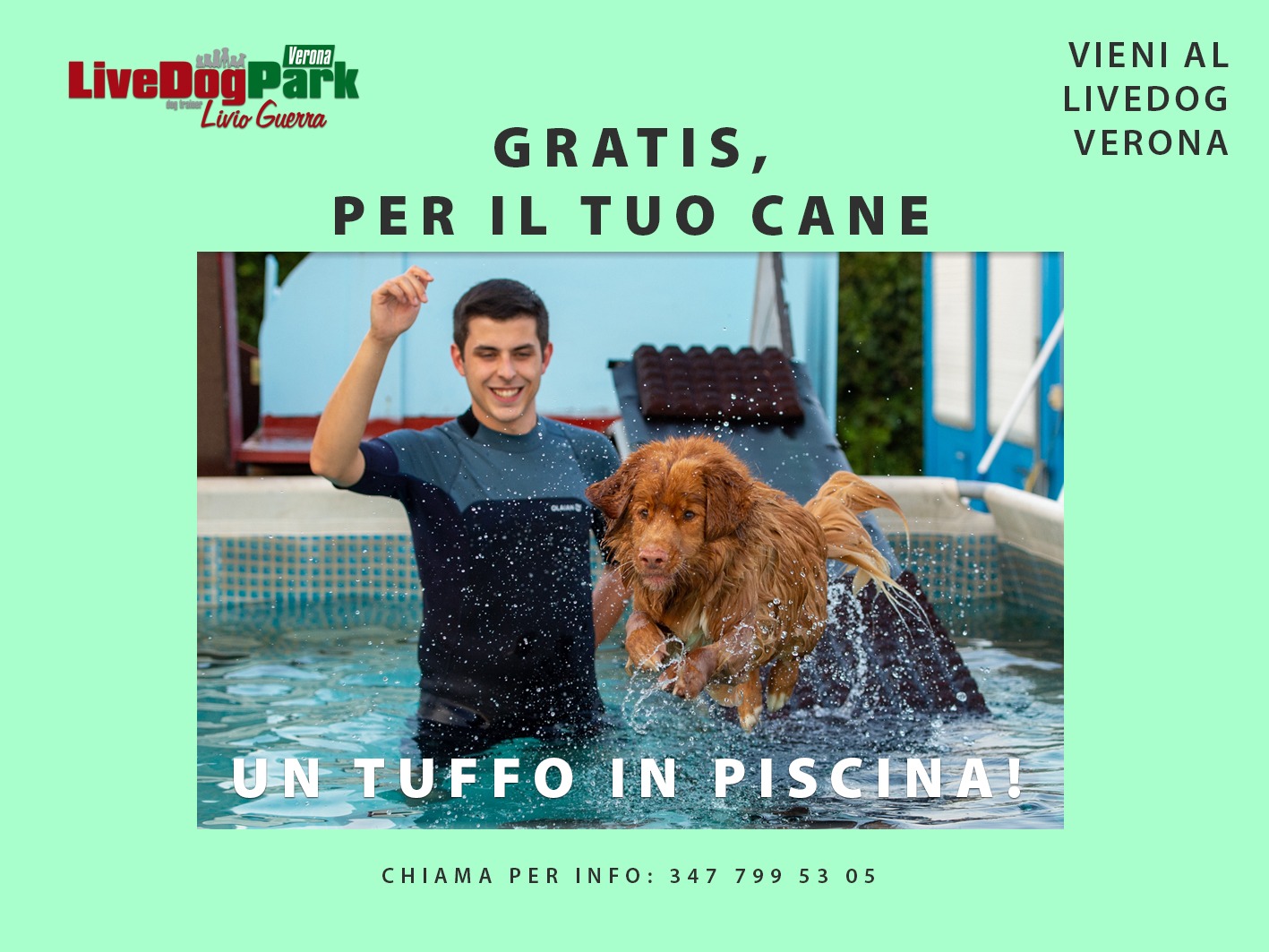 Al momento stai visualizzando Piscine per Cani, un Primo Incontro Gratis!