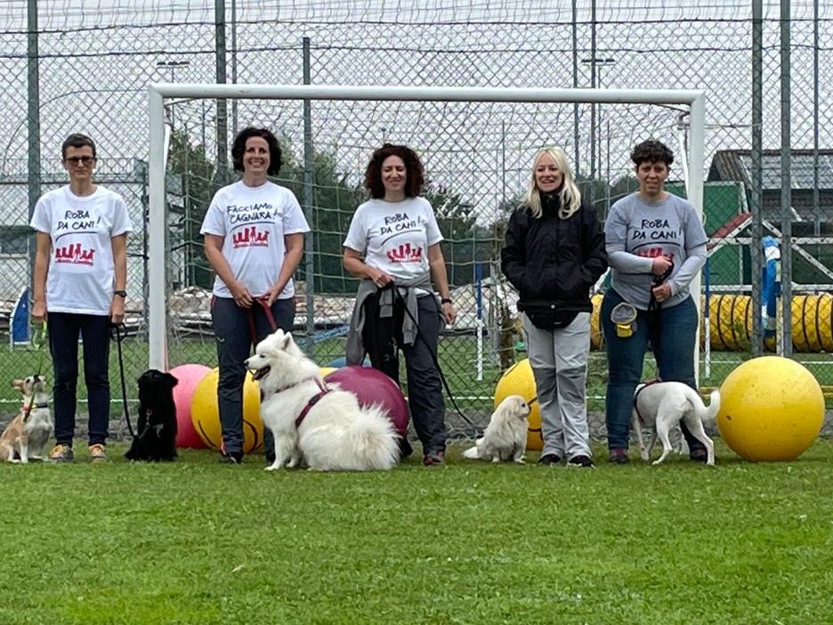 Scopri di più sull'articolo Il Treibball LiveDog Team con la Presidente AIT