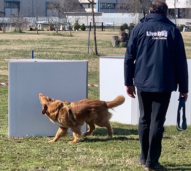 Un uomo è in piedi accanto a un cane in un campo.