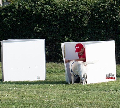 Un uomo e un cane in una scatola bianca su un campo erboso.