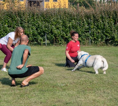 Un gruppo di persone che giocano con un cane su un campo erboso.