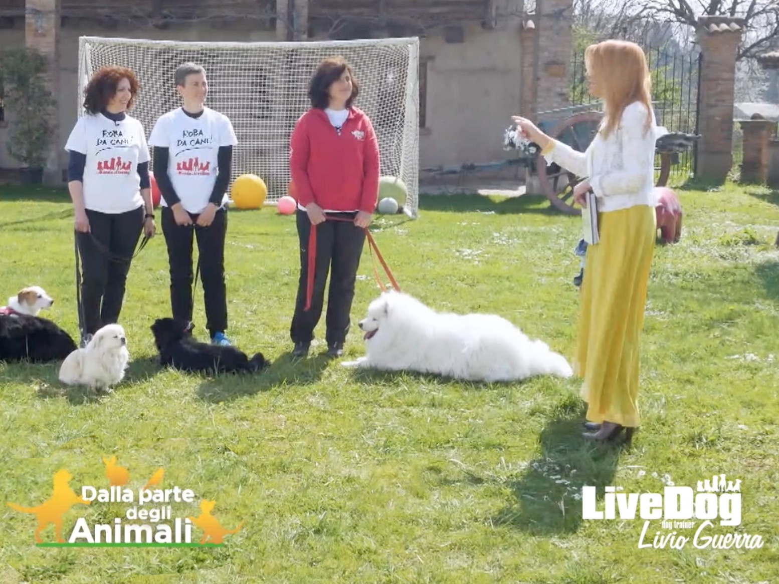 Scopri di più sull'articolo Dalla Parte degli Animali Ospita LiveDog!