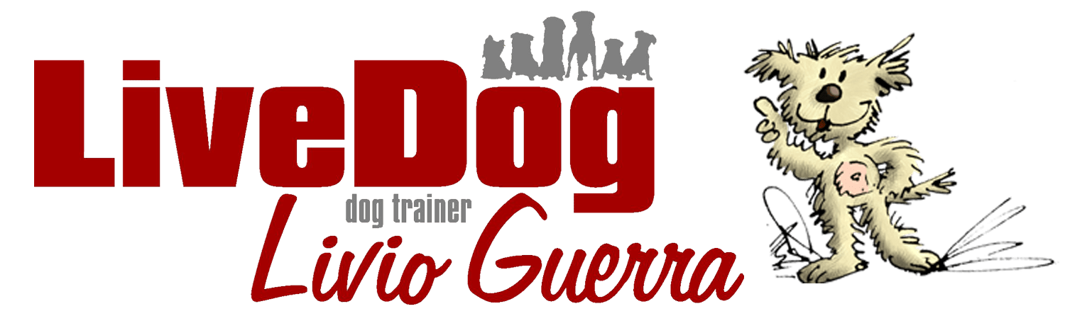 Livedog di Livio Guerra