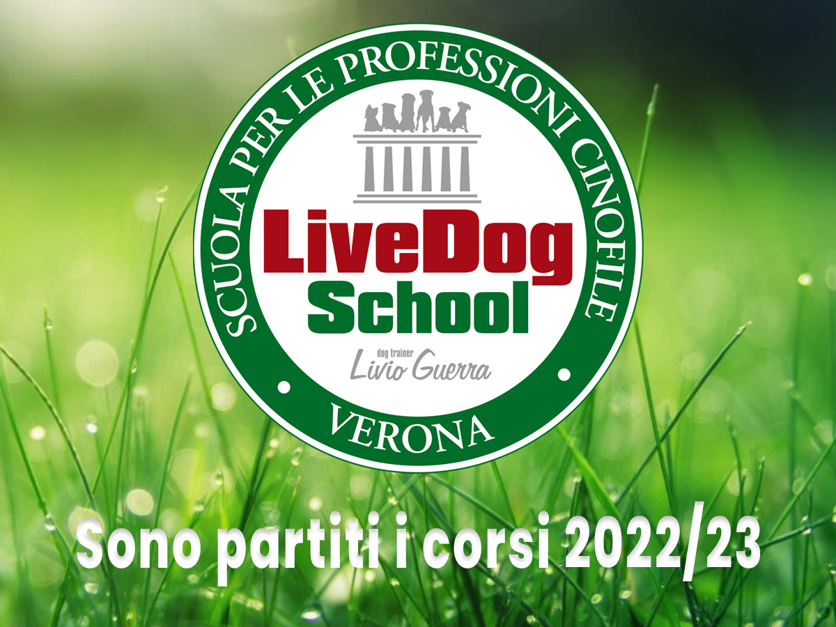Al momento stai visualizzando LiveDog School 2022/23