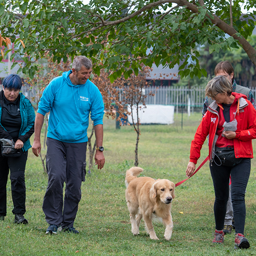 Un gruppo di persone porta a spasso un cane al guinzaglio.