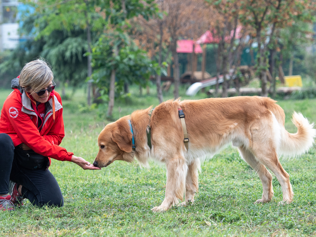 Una donna si diverte con il suo amato cane in un parco.