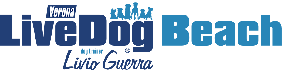 Un logo blu e bianco con la parola verra sopra.
