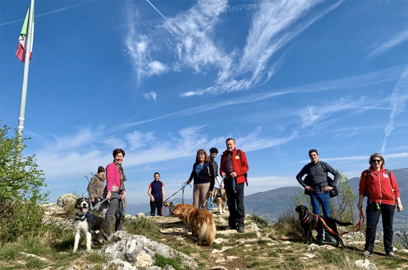 Un gruppo di persone in cima ad una montagna con i loro cani.