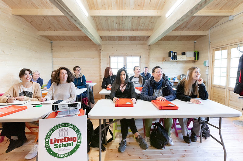 Un gruppo di persone sedute ai tavoli in un’aula.