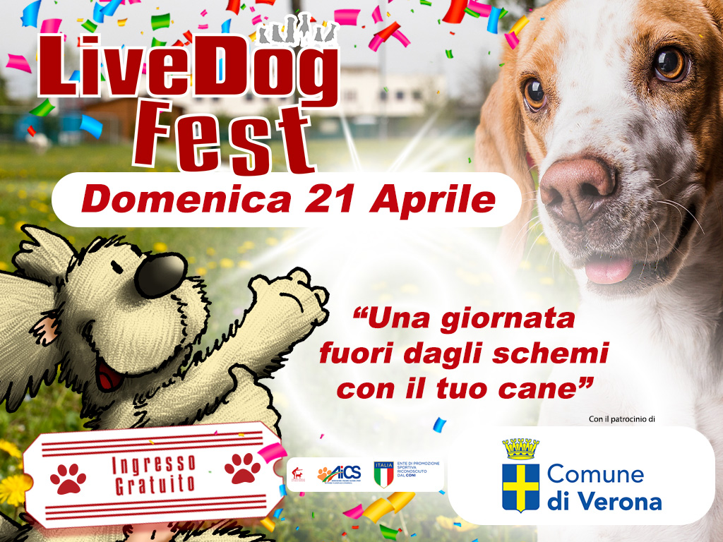 Poster colorato per l'evento "festa dei cani dal vivo" con un primo piano di un cane e un peluche, con dettagli dell'evento e grafica dei coriandoli.