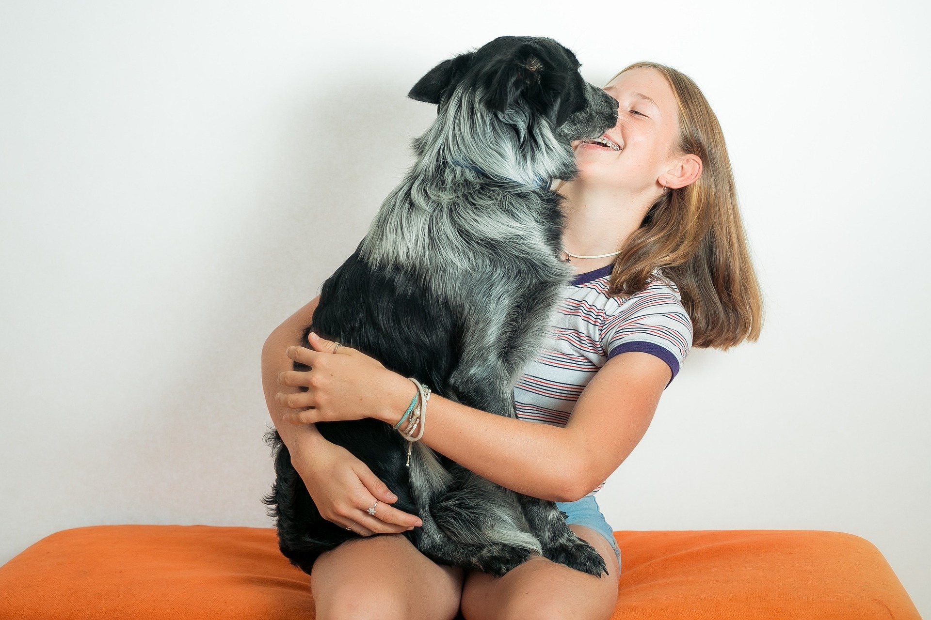 Al momento stai visualizzando Adottare un cane al canile