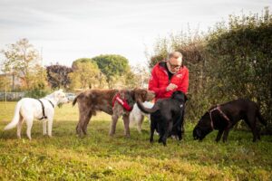 Una persona con una giacca rossa accovacciata in una zona erbosa con cinque cani, tra cui un Labrador e un cane bianco, vicino ai cespugli in una giornata limpida.