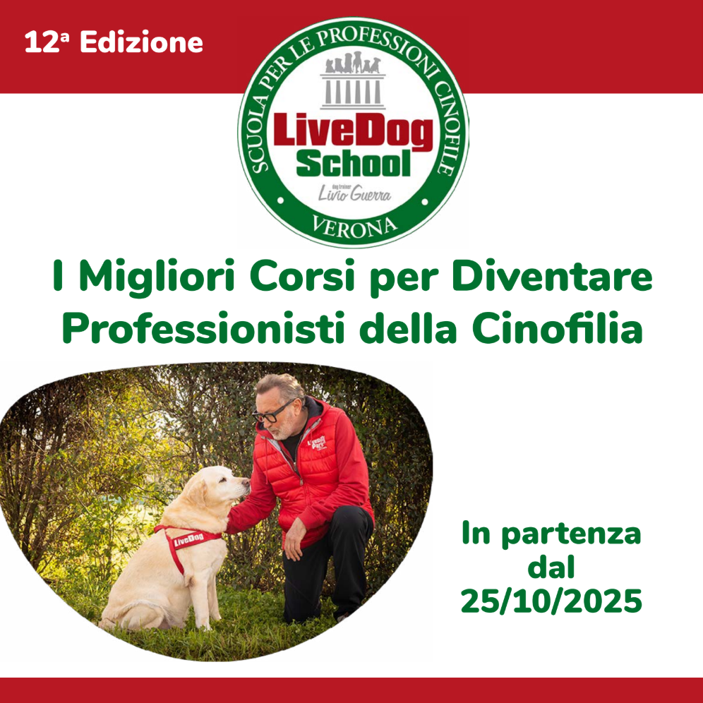 Uomo in giacca rossa inginocchiato e che accarezza un cane bianco contro un cespuglio. Testo in italiano sui corsi di addestramento professionale per cani che inizieranno il 25/10/2025, ospitati dalla LiveDog School di Verona.