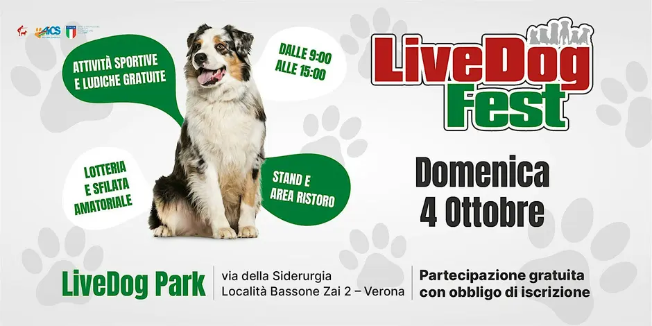 Manifesto promozionale del LiveDog Fest, in programma domenica 4 ottobre al LiveDog Park di Verona, con l'immagine di un cane, i dettagli dell'evento e le attivit&agrave; in programma, tra cui sport, lotteria e ristoro.