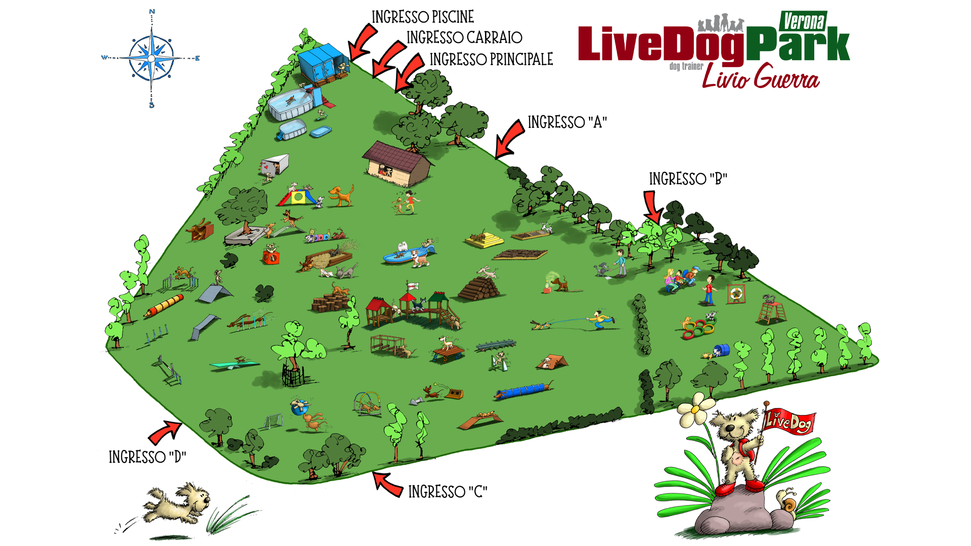 Mappa illustrata del LiveDog Park di Verona, che mostra le aree verdi del parco, le attrezzature per il gioco dei cani, piccoli edifici, gli ingressi contrassegnati, una piscina e dei cani disegnati in stile cartone animato.