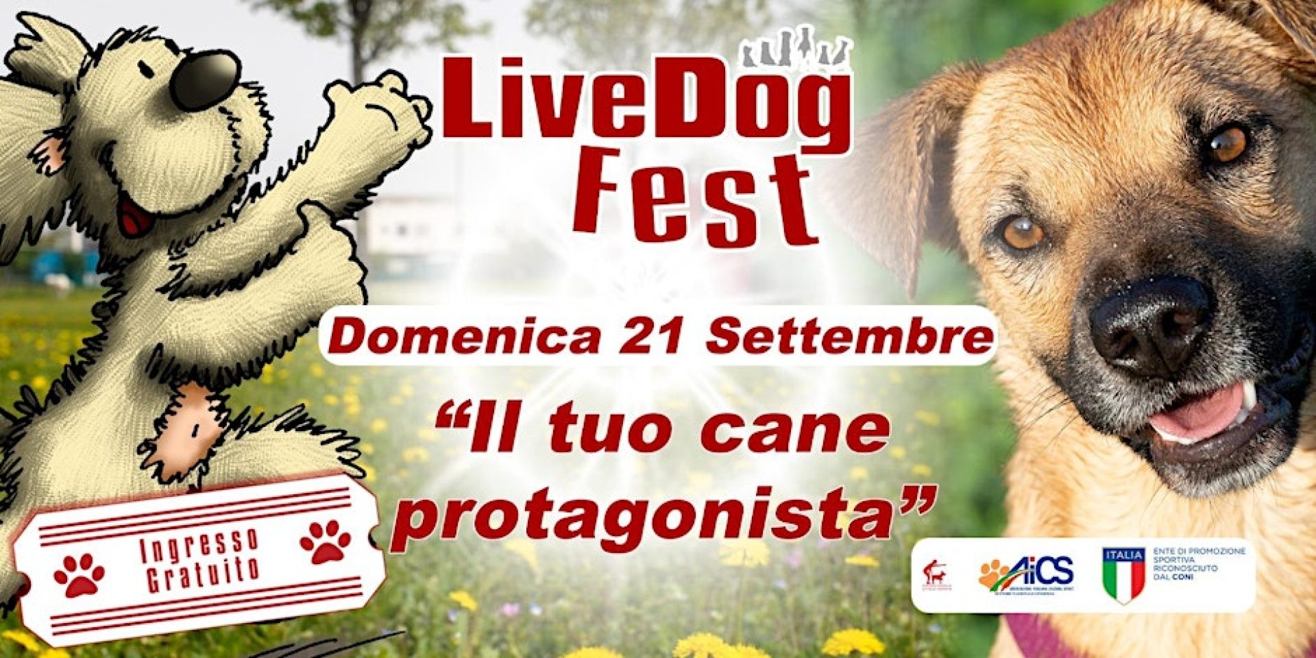 Locandina dell'evento LiveDog Fest con un cane animato, un cane vero e dettagli dell'evento in italiano; promuove un festival per cani a ingresso libero il 21 settembre.