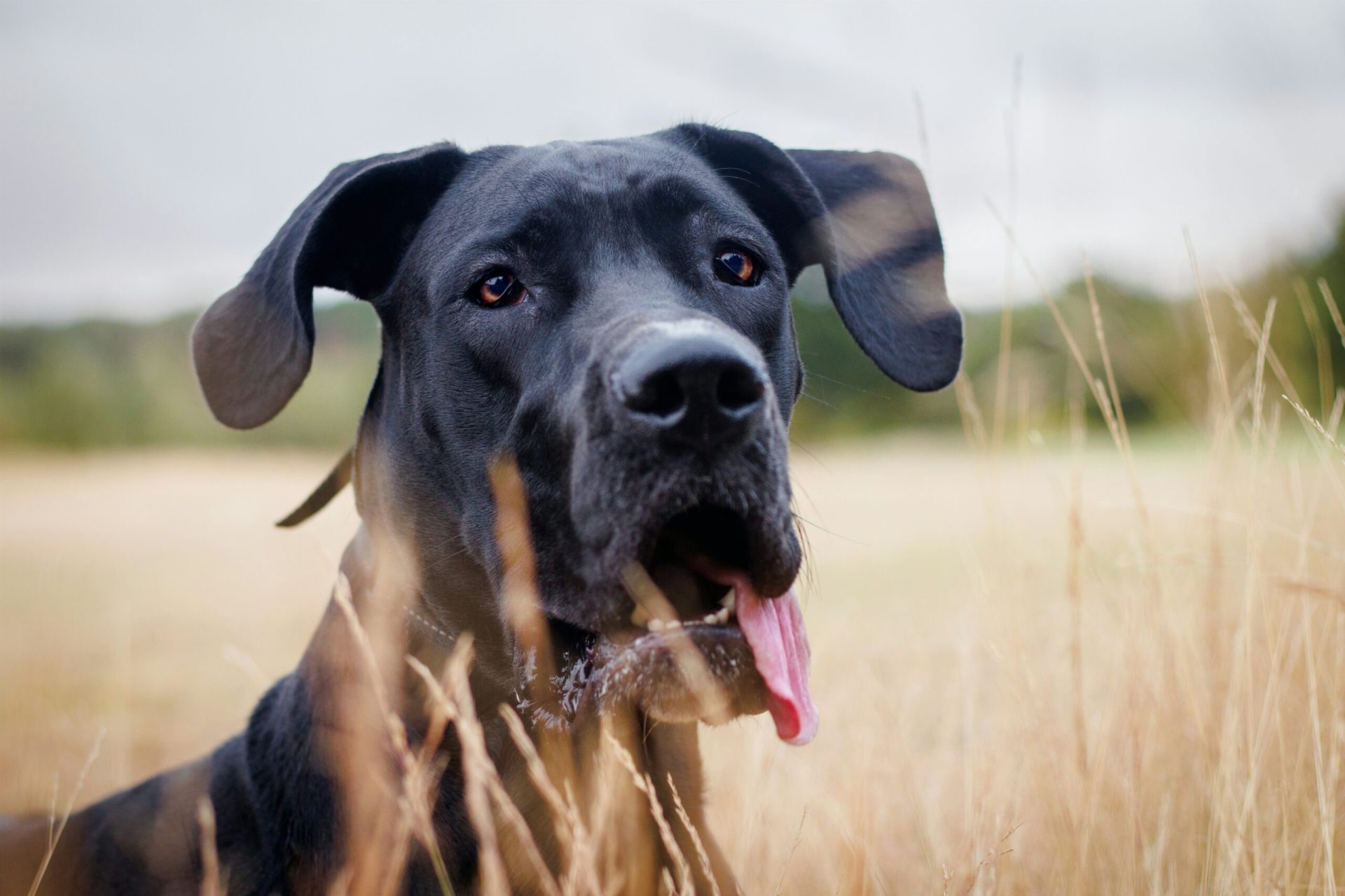 oliver-bichard-uEZ3sYLgx6E-unsplash