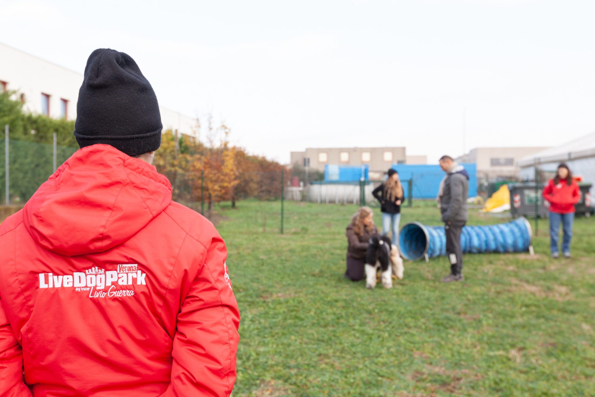 Una persona con una giacca rossa osserva una sessione di addestramento per cani in un parco. Persone e un cane sono vicino a un ostacolo a tunnel blu.